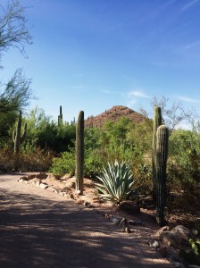 Processed with VSCO with s2 preset