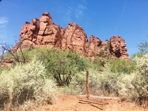 Processed with VSCO with s2 preset